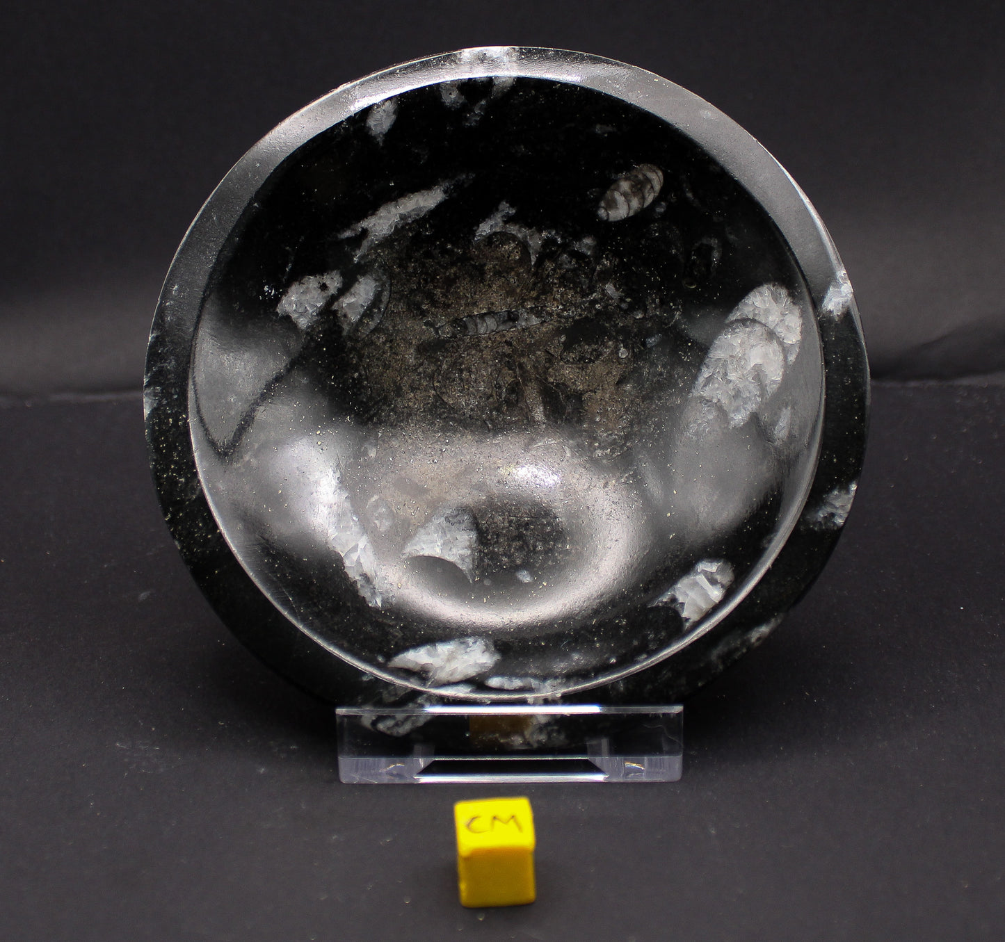 Orthoceras Marble Bowl