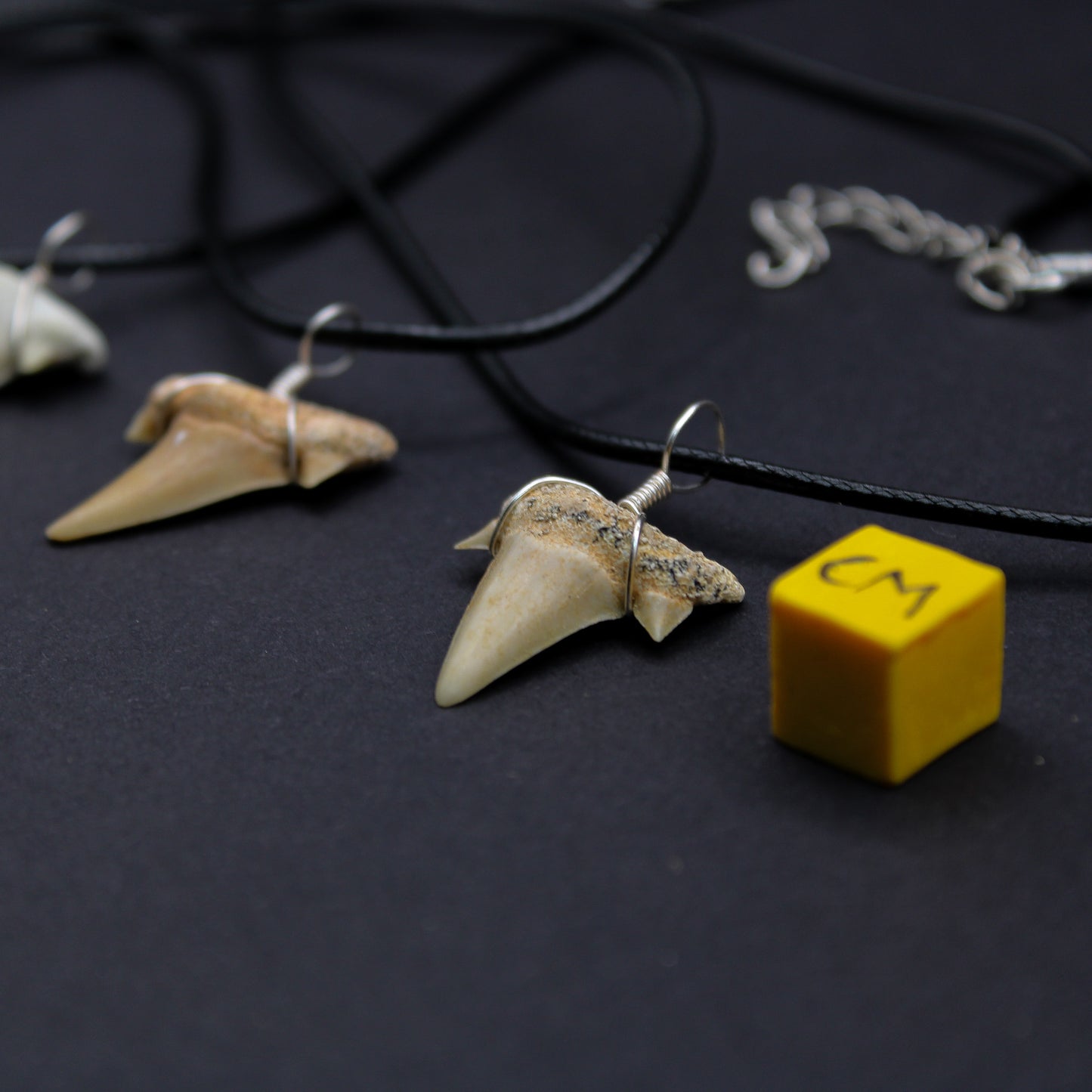 Eocene Odotus Fossil Shark Tooth Necklace (FOS_STN)