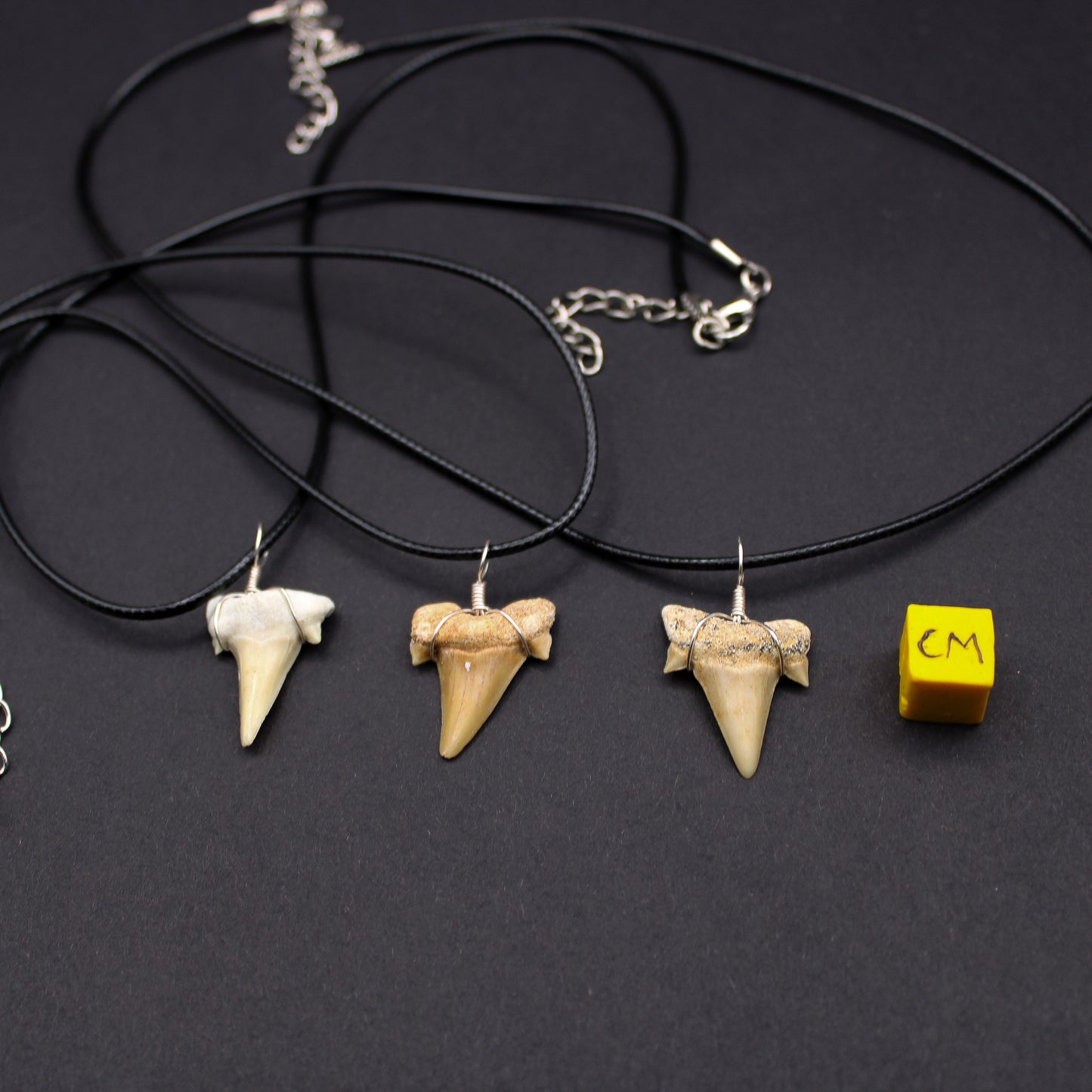 Eocene Odotus Fossil Shark Tooth Necklace (FOS_STN)