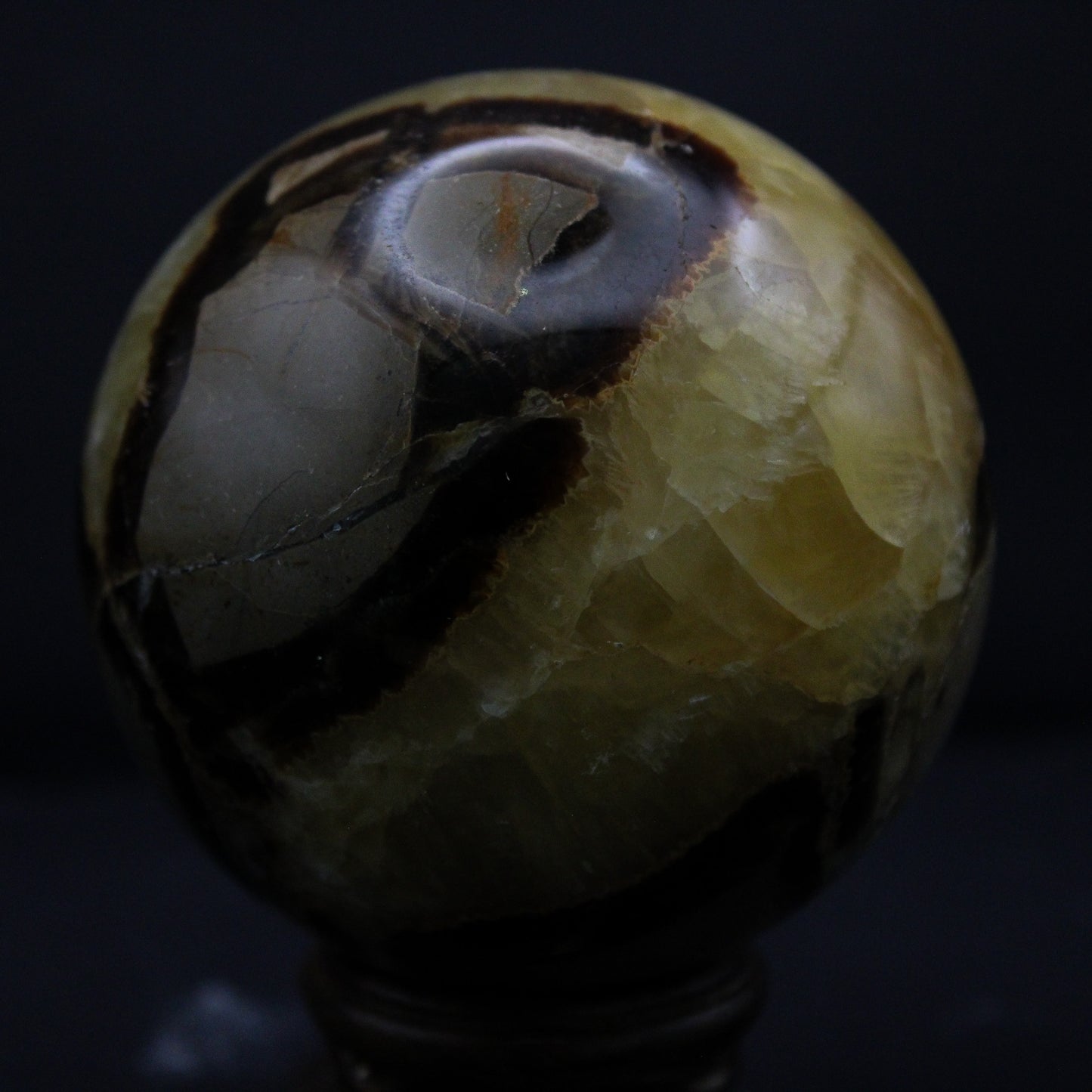 Septarian SPH_016