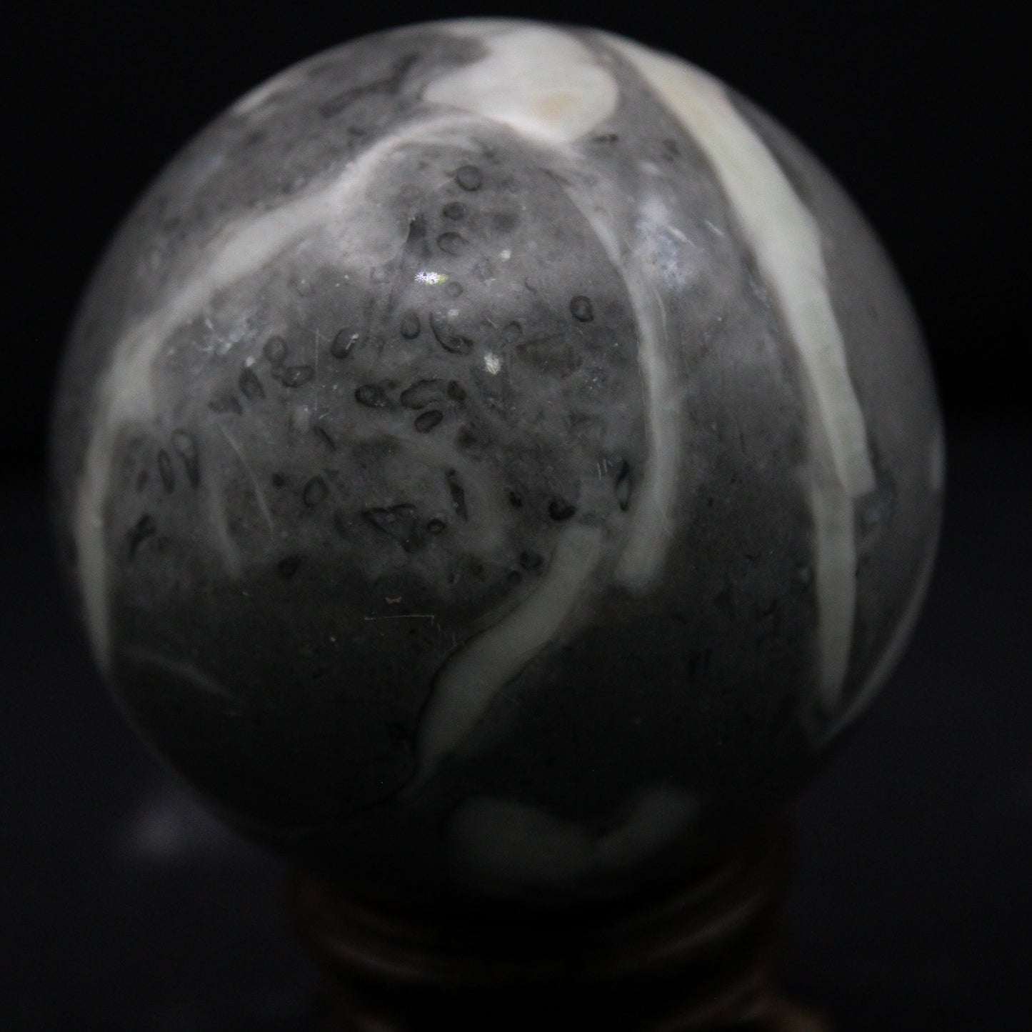 Shell (1000 Eye) Agate SPH_032