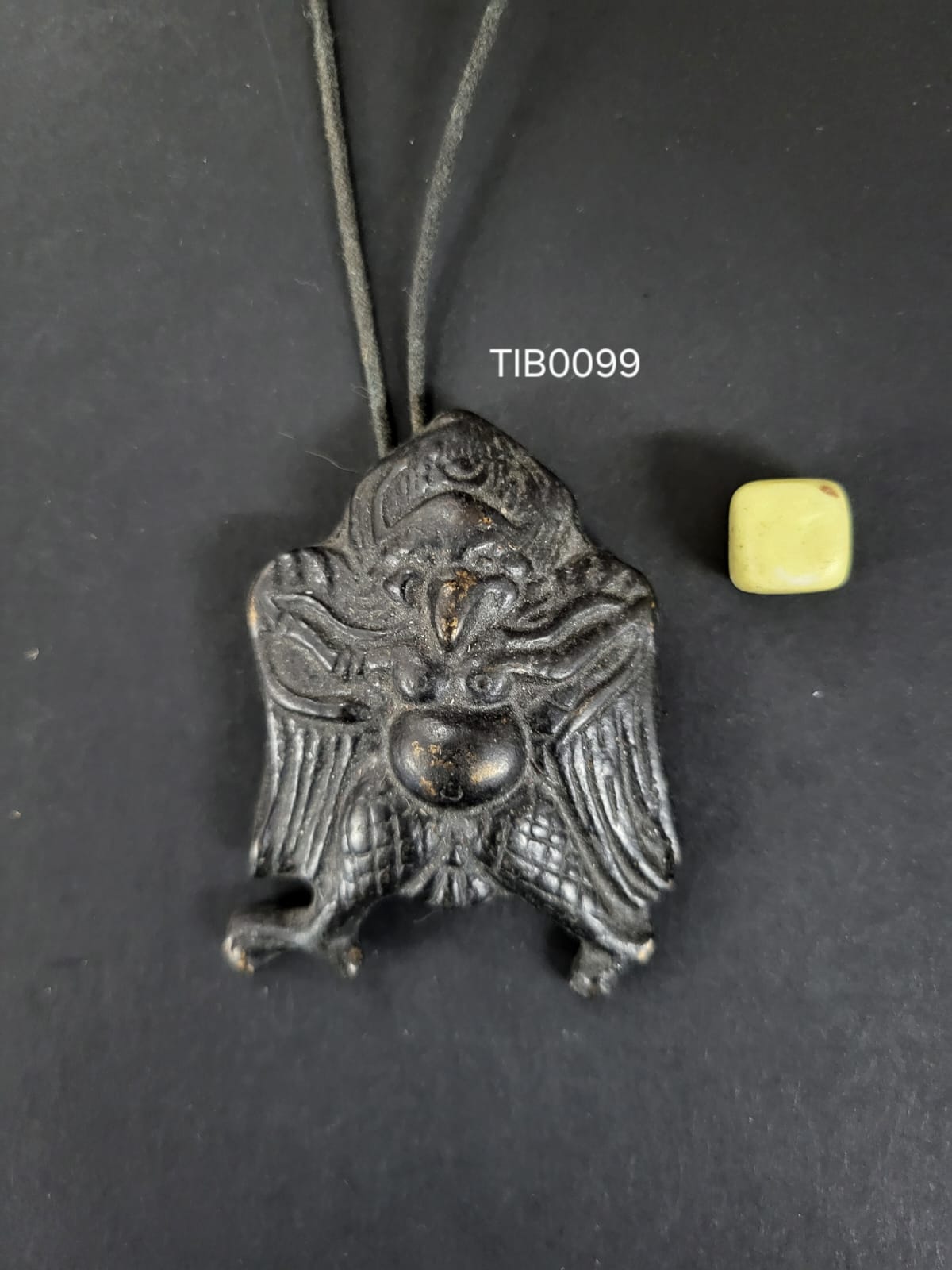 TIB0099