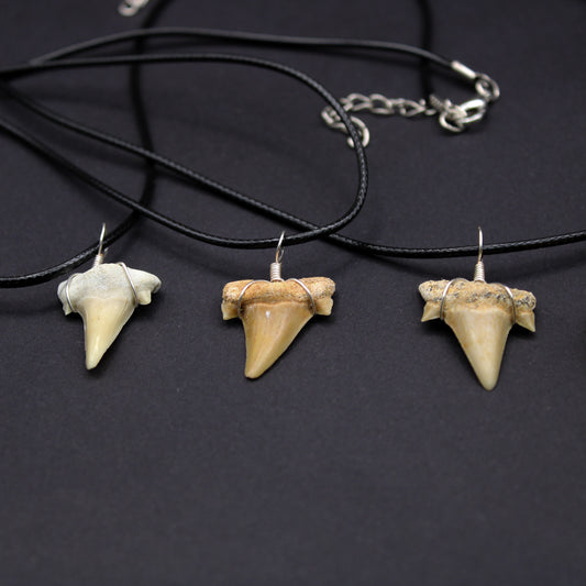 Eocene Odotus Fossil Shark Tooth Necklace (FOS_STN)
