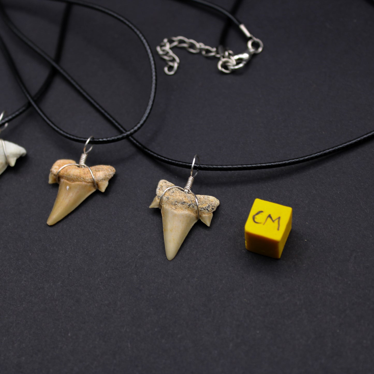 Eocene Odotus Fossil Shark Tooth Necklace (FOS_STN)