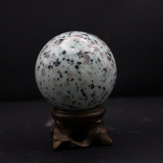 Kiwi Jasper SPH_034