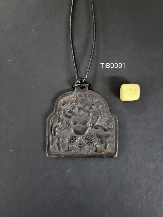 TIB0091