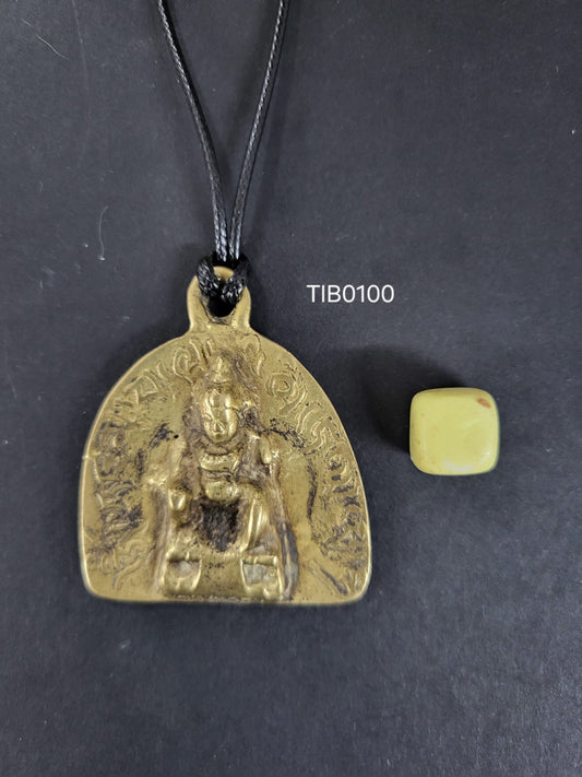 TIB0100