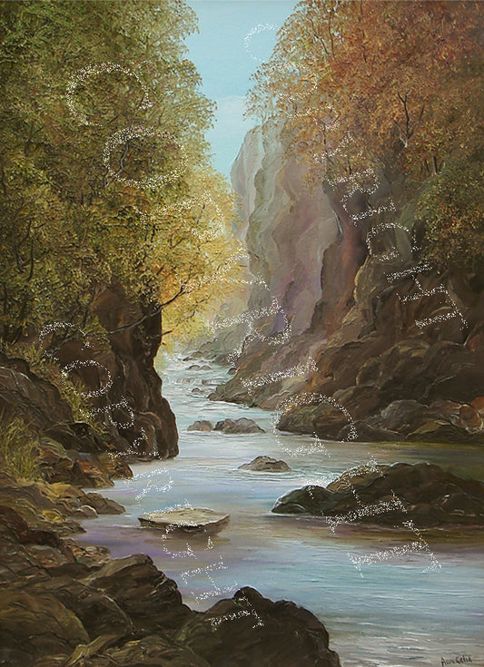 Fairy Glen