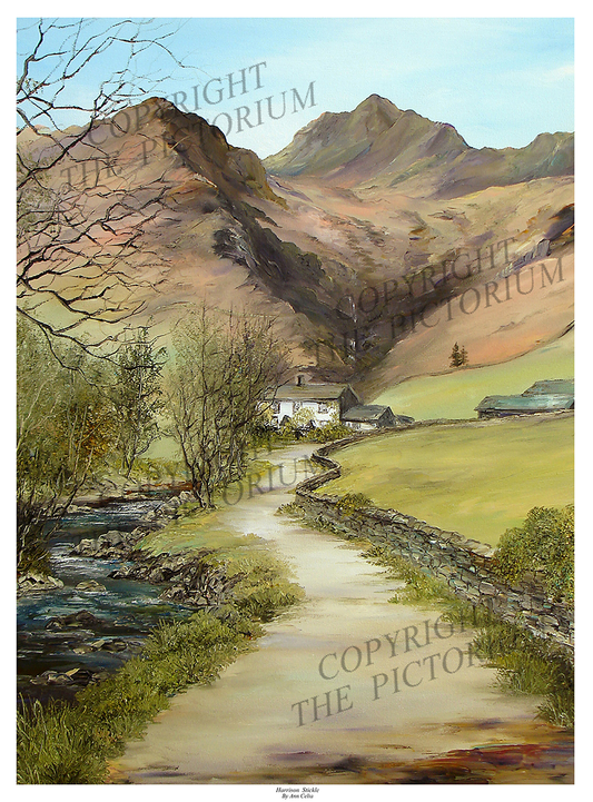 Harrison Stickle