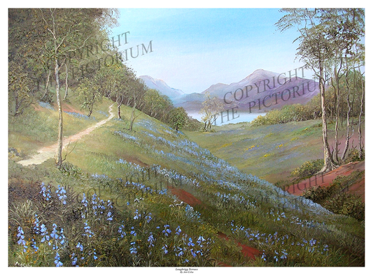 Loughrigg Terrace
