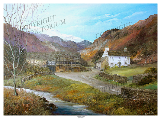 Yew Tree Farm